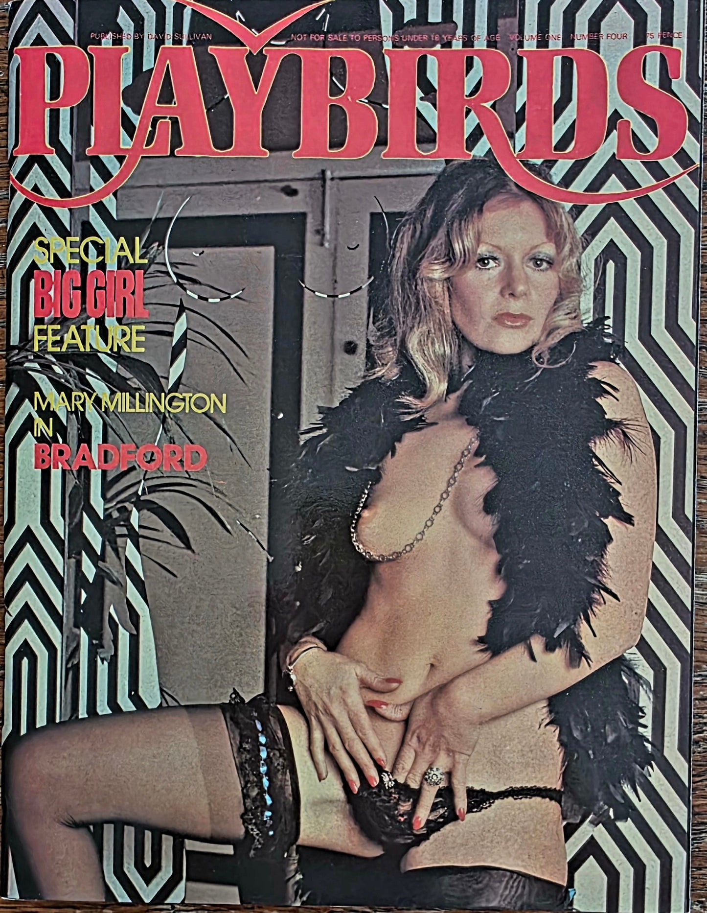 Playbirds #4 Excellent Condition Men's Adult Glamour