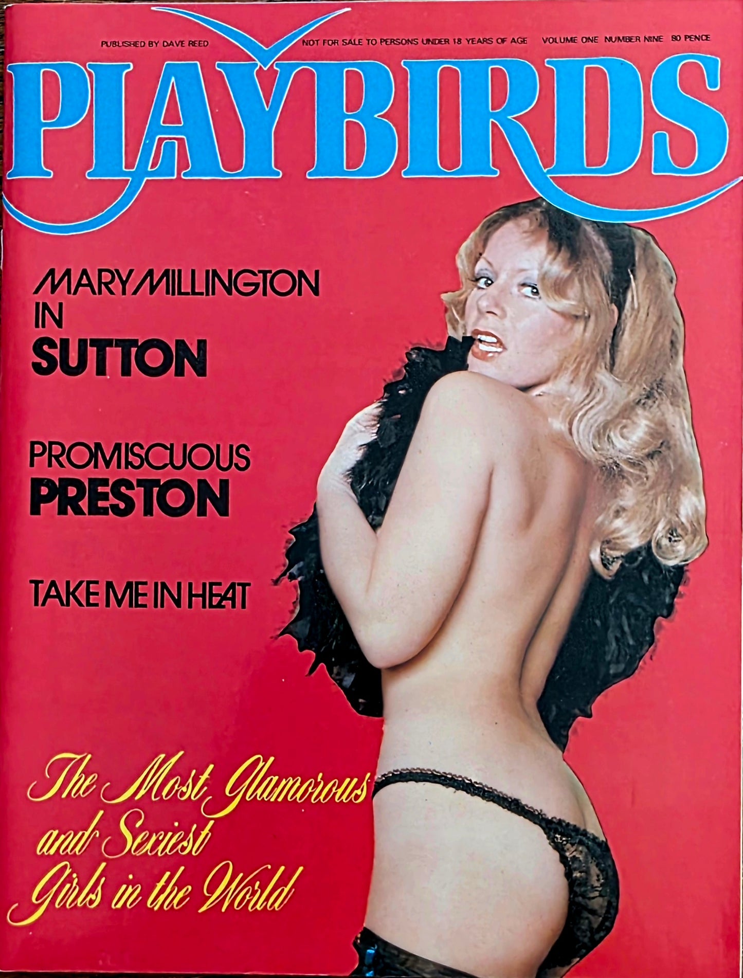 Playbirds #9 Excellent Condition Men's Adult Glamour