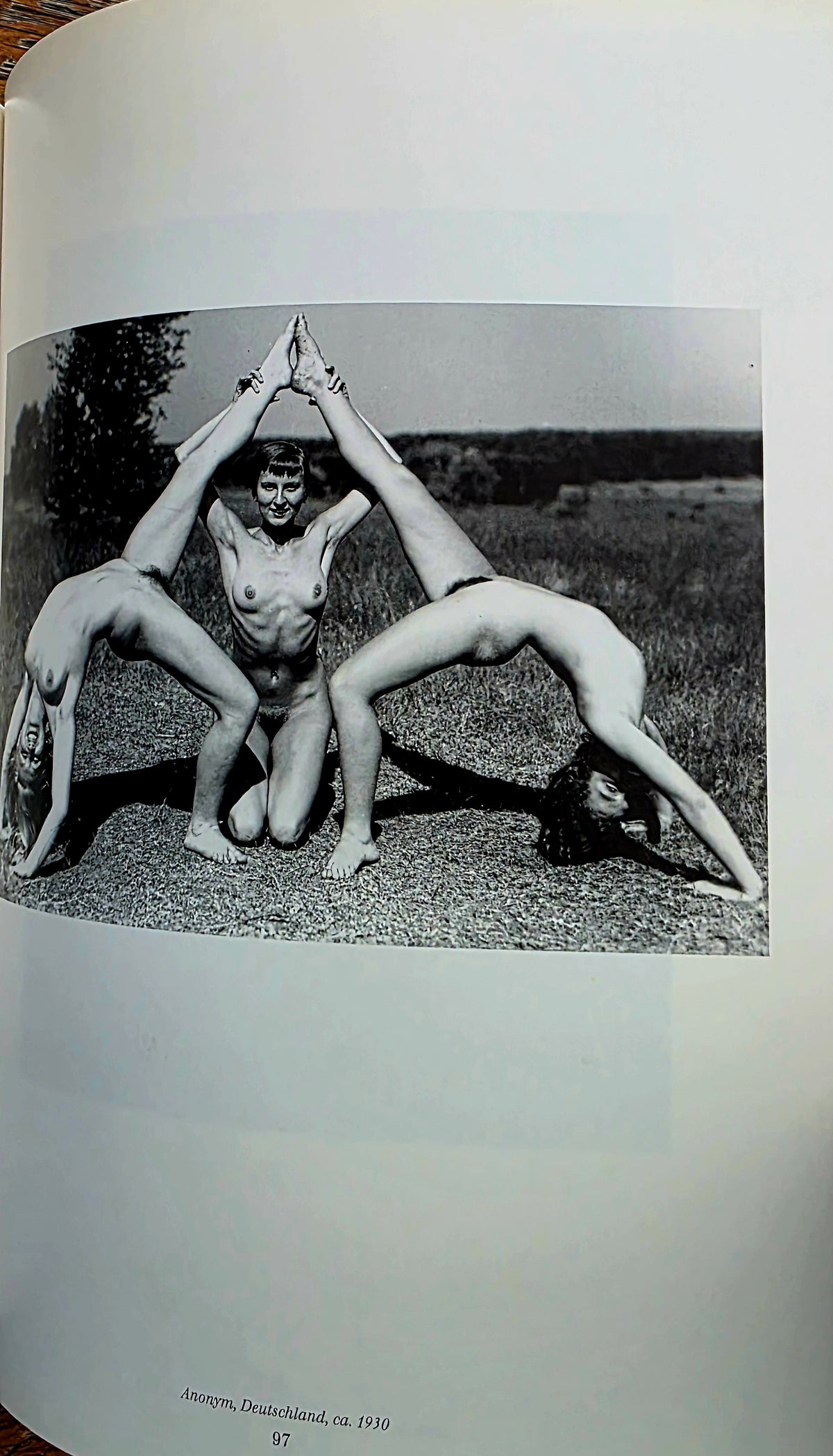 Book- BILDERLUST Braus -  Excellent condition - Adult Photography