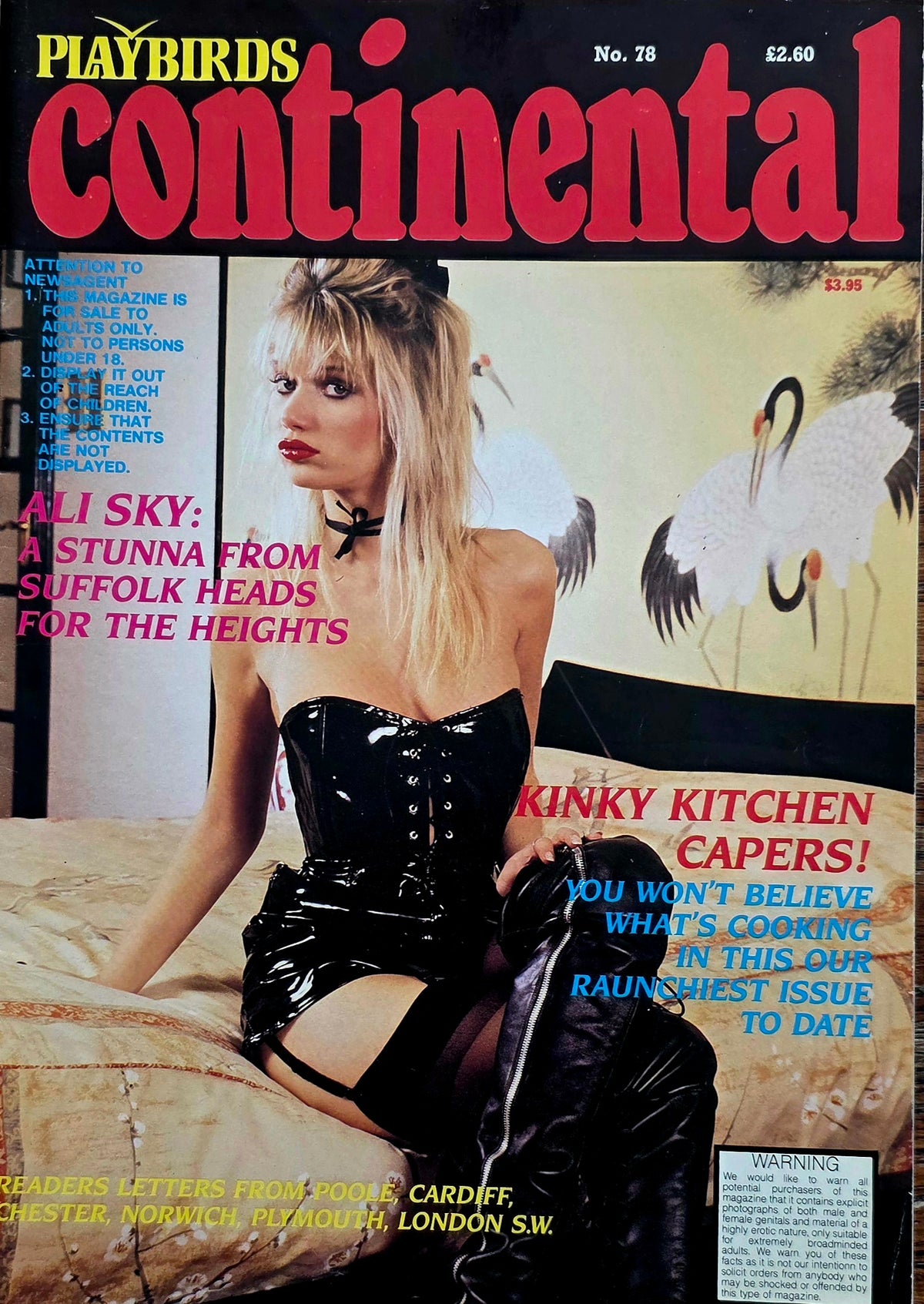 Vintage PLAYBIRDS Continental #78 Excellent condition-Vintage Men's Adult Glamour